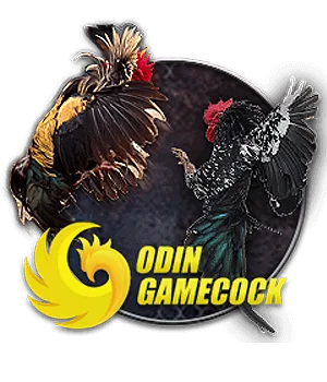 PG88 - Trang Chủ Nhà Cái PG88.COM Chính Thức | Đăng Ký +178K sub animal od cock